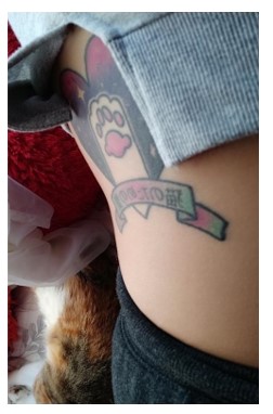 Tatuaje de la entrevistada 6 (E.6)