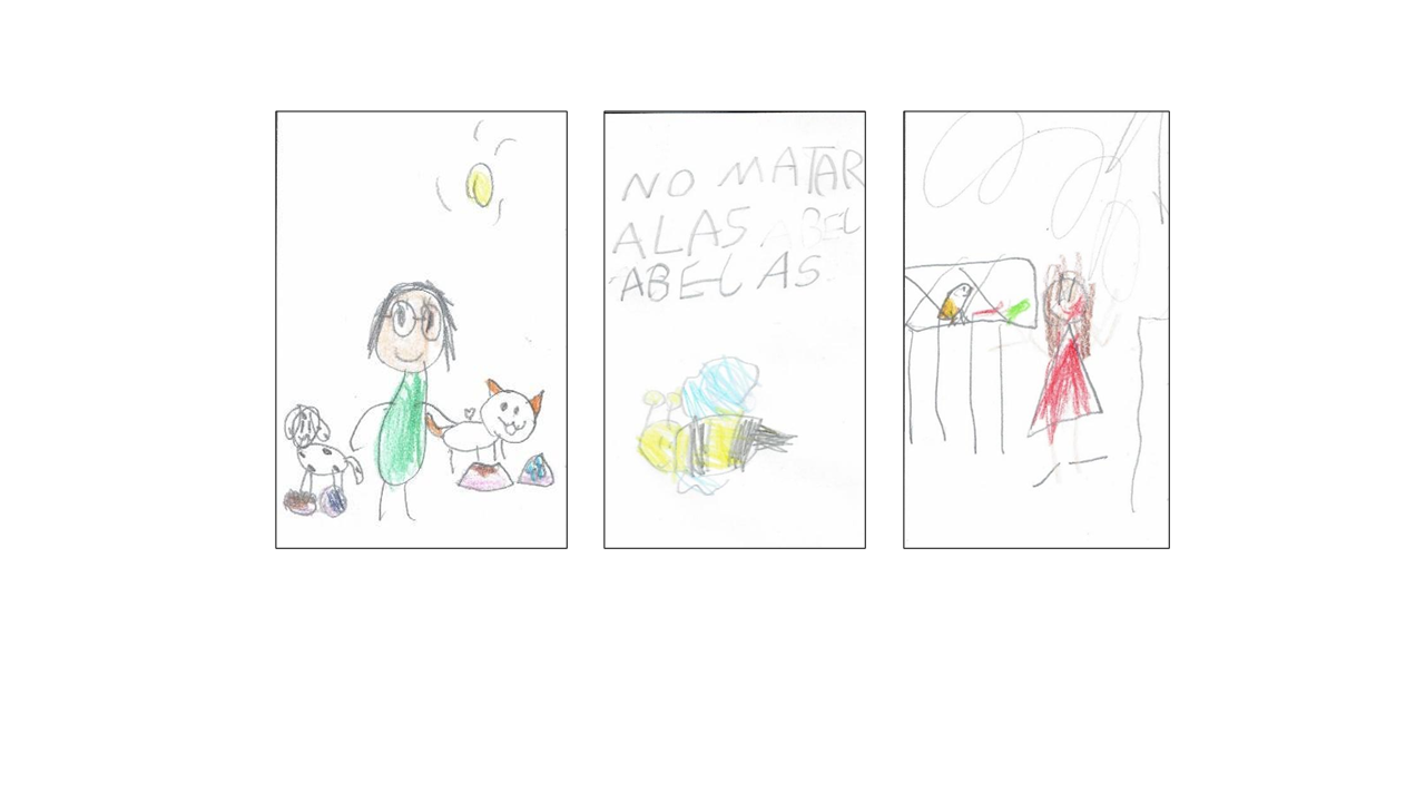 Ejemplo de categor�a 'cuidado de animales e insectos'