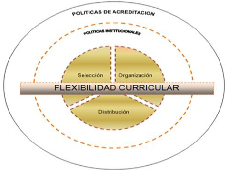 Modelo semiótico curricular para el estudio.