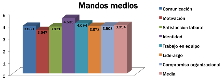 Media general por mandos medios