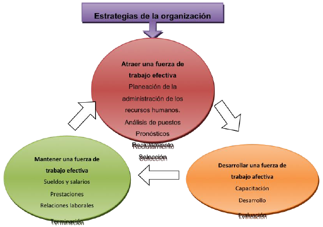 Estrategias de la organización