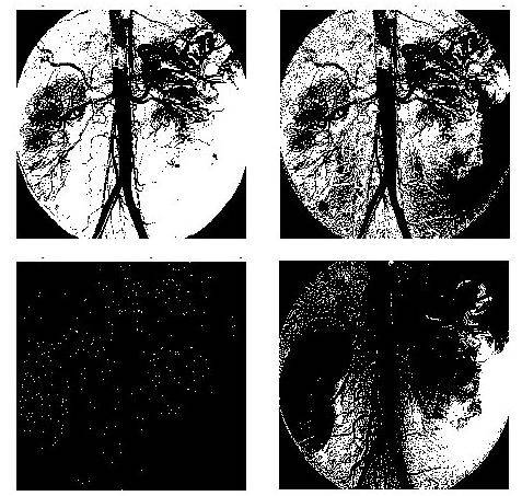 Operador apertura cl&aacute;sico aplicado con difer&es rangos de pertenencia