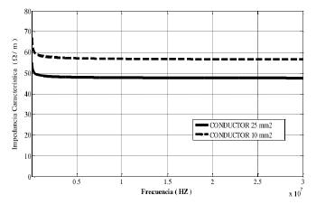 Impedancia Caracter&iacute;stica. 