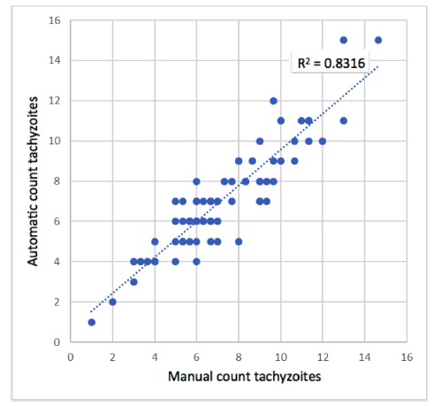 Scatter plot between manual count and automatic count