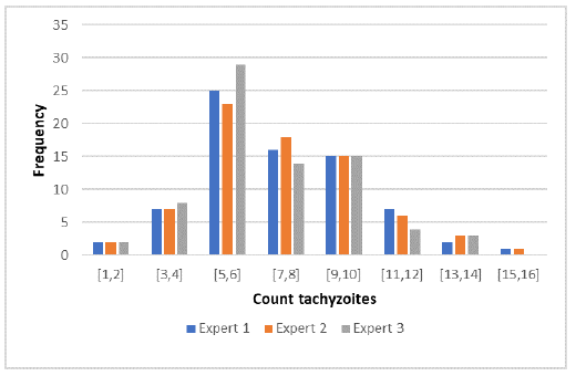 Histogram of tachyzoites counted by experts (per image)