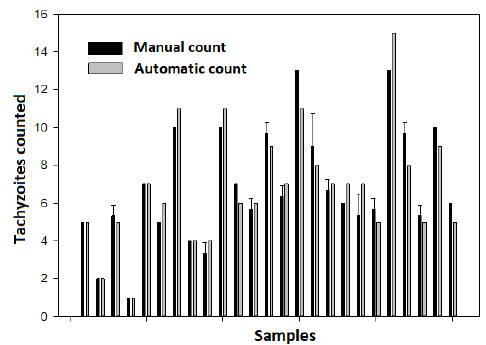Comparison between average manual count and automatic count
