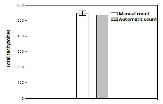Total tachyzoites counted