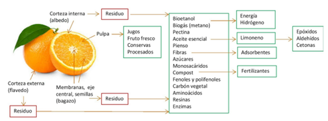 Algunos posibles productos a partir de la naranja y sus residuos