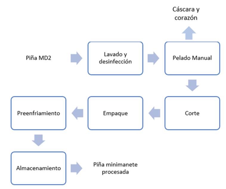 Proceso de obtención de piña minimamente procesada