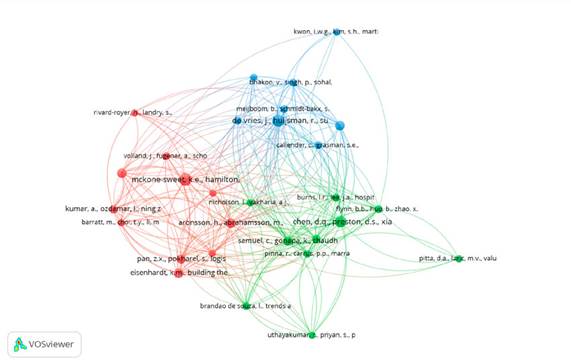 Red de co-citación de autores
