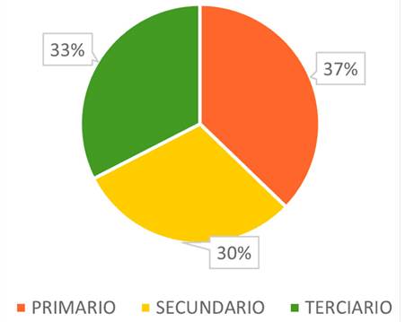 Distribuci&oacute;n de la aplicaci&oacute;n de diagn&oacute;sticos sectoriales por sector econ&oacute;mico
