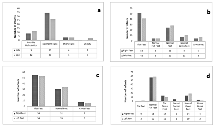 a) Distribution of weight categories according to the BMI and foot types according to b) HCI, c) CA, and d) SCI
