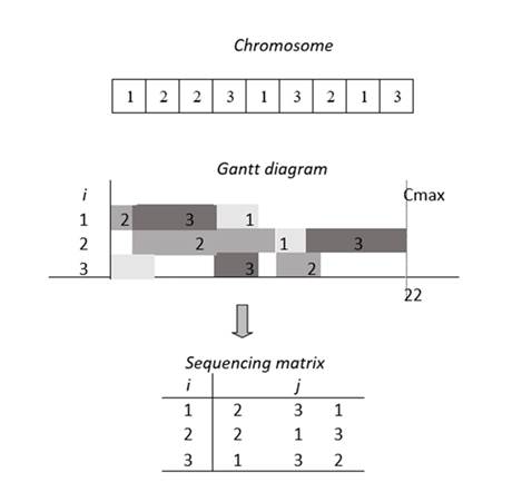 Decoding process of the chromosome into a sequencing matrix