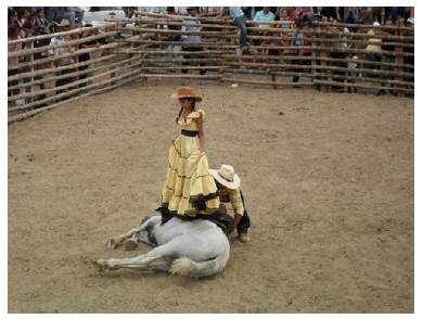 Rodeo Montubio en Olmedo. Tomada de: Blog Manabí Ecuadorhttp://actividadesculturalesmanabi.blogspot.com/2010/08/rodeo-montubio-en-olmedo.html