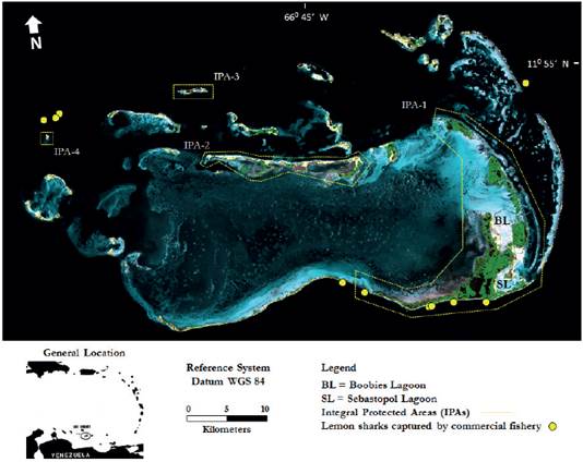 Los Roques Archipelago National Park, showing the location of the Integral Protected Areas (IPAs) and the spatial distribution of lemon sharks captured by the commercial shark fishery in 2001 and 2002.