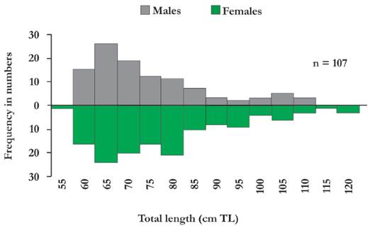 Length frequency distribution (in numbers) by sex of juvenile lemon sharks captured in the Sebastopol Lagoon (Los Roques Archipelago) during tagging efforts in 2001-2002 and 2005-2014.