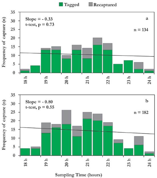 Relationship between the frequency in numbers and time of capture for a) male and b) female juvenile lemon sharks (tagged and recaptured) in the Sebastopol Lagoon in 2001-2002 and 2005-2014. Also indicated are the regression lines fitted to data and slope values.