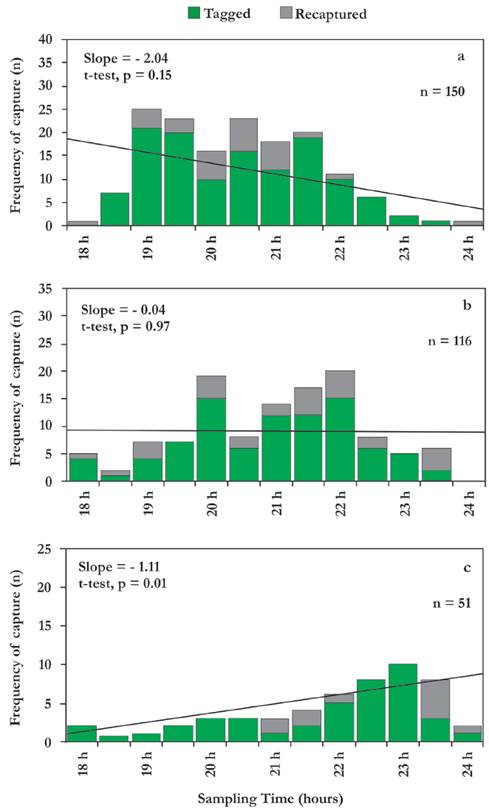 Relationship between the frequency in numbers and time of capture by size group of juvenile lemon sharks (tagged and captured) in the Sebastopol Lagoon in 2001-2002 and 2005-2014. Size groups: a) 51-70 cm TL, b) 71-90 cm TL, and b) 91-120 cm TL. Also indicated are the regression lines fitted to data and slope values.