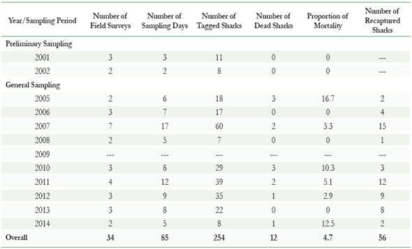 General data by year related to the tagging efforts of juvenile lemon sharks in the Sebastopol Lagoon, Los Roques Archipelago. Proportion of mortality refers to shark deaths due to capture/handling stress prior to release.