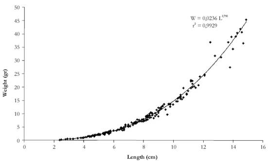 Relationship between standard length (mm) and weight (g) of L. erythrinoides.