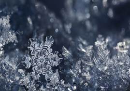 Copos de nieve a través de un microscopio