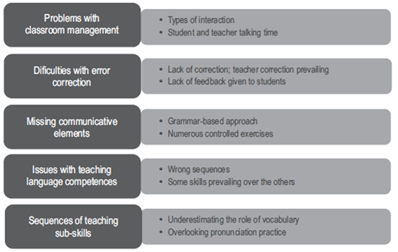 Issues Identified During the Diagnostic Stage