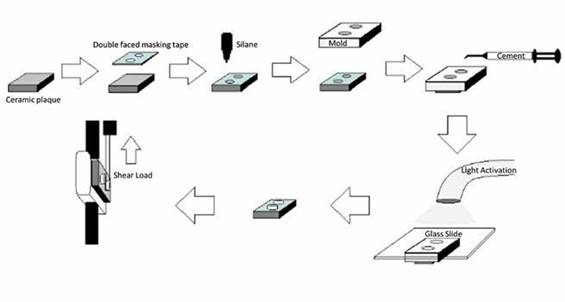 Schematic representation of the study set-up.