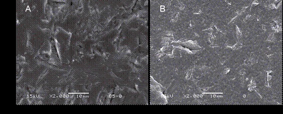 (A) Representative image exhibiting the more prevalent failure pattern from group NC-24h on ceramics´ surface (2000x), showing a clean ceramic surface, corresponding to a ceramic/cement adhesive failure. (B) Representative image exhibiting the more prevalent failure pattern from group NC-6mo on ceramics´ surface (2000x), showing also a ceramic/cement adhesive failure.