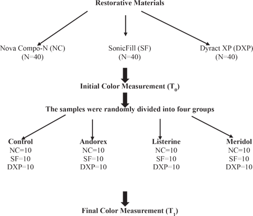 Schematic study design