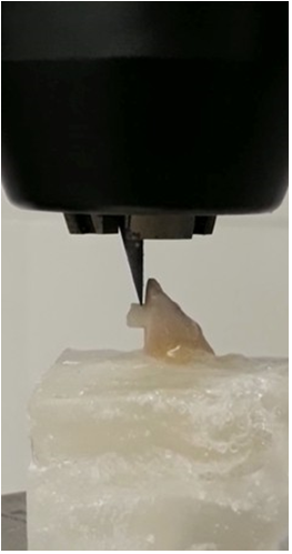 Mounting of samples for the SBS test.