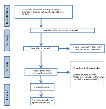 PRISMA Flow Diagram.