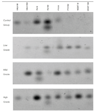 Analysis of genes methylation and non-methylation.