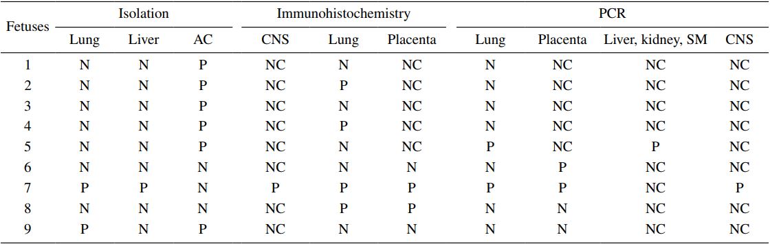 Microaerophilic growth (isolation), immunohistochemistry, and PCR results of
Brucella abortus in aborted bovine fetuses. Resultados del crecimiento en
condiciones de microaerofilia, inmunohistoqu&iacute;mica y PCR para Brucella abortus
en fetos bovinos abortados.