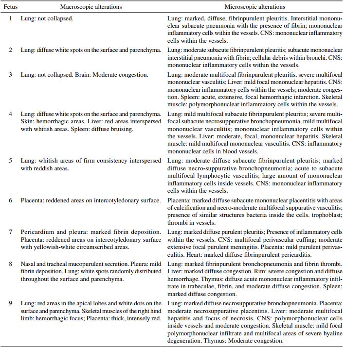 Description of macroscopic and microscopic alterations observed in placentas
and aborted fetuses with infection by Brucella abortus, examined at SPV-UFRGS.