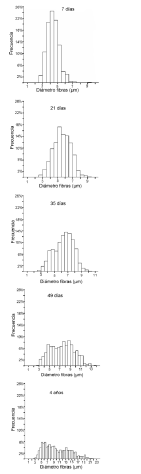 Histogramas
de los di&aacute;metros de las fibras miel&iacute;nicas del nervio oculomotor en los cinco
grupos de edad estudiados.