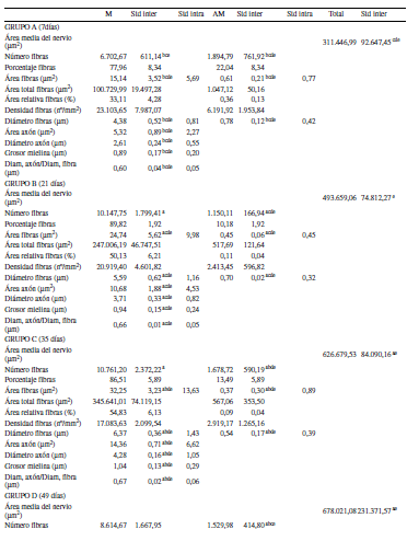 Medias
y desviaciones est&aacute;ndar de cada variable analizada de las fibras miel&iacute;nicas y
amiel&iacute;nicas de los cinco grupos estudiados.