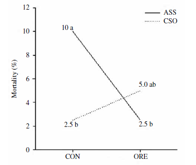 Mortality rates in the different
groups of broilers