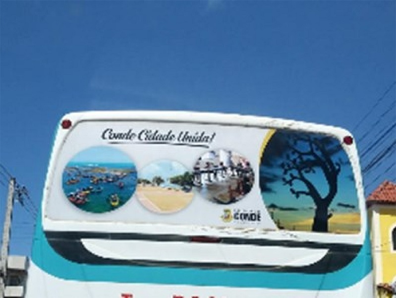 Ilustrações adesivadas nos ônibus de circulação local