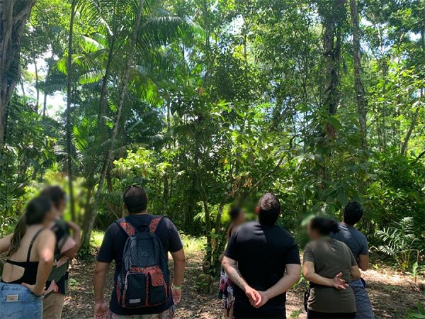 Turistas vendo tucanos que sobrevoavam a mata