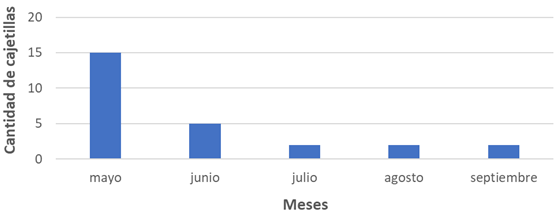 Cajetillas perdidas.