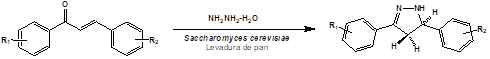 Síntesis de pirazolinas catalizada por levadura de pan.