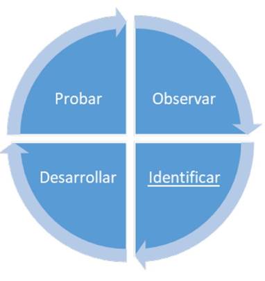 Metodología considerada.