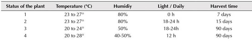 Conditions for medical cannabis crops.