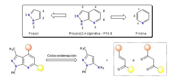 An&aacute;lisis retrosint&eacute;tico para la obtenci&oacute;n de pirazolo[3,4-b]piridina-PPd 5.