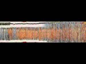 Figure 3 Visualisation
d’images en coupe. Manipulation du corpus de la fig. 1.
