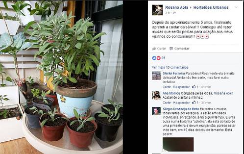 Imagem 13: Coment�rios do grupo Hortel�es Urbanos