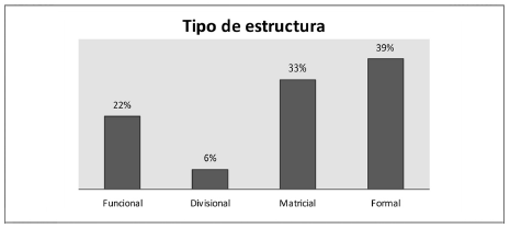 Caracter&iacute;sticas del elemento estructura