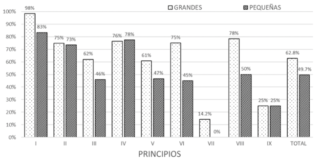 Autoevaluaci&oacute;n de los principios del cumplimiento del CGS seg&uacute;n tama&ntilde;o de la empresa