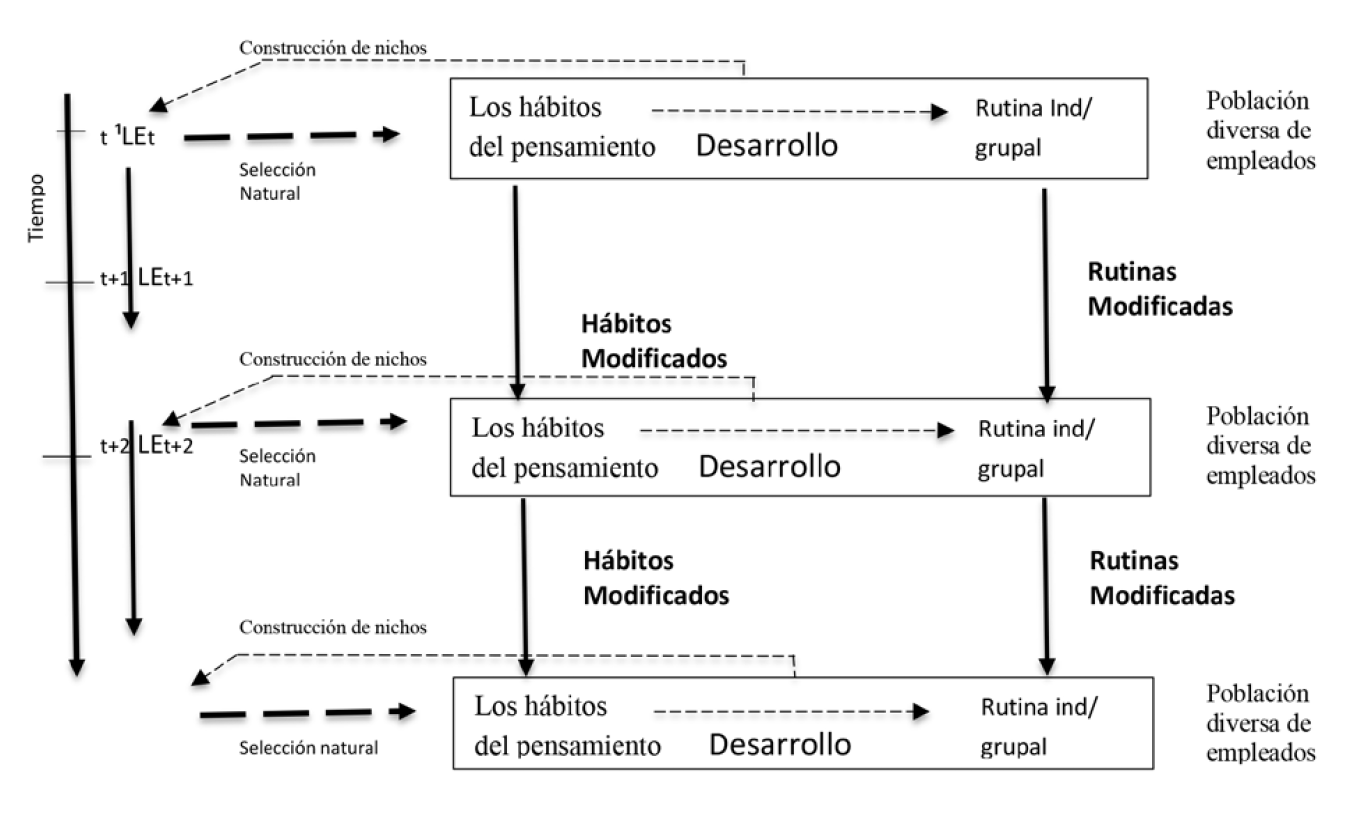 Proceso de construcci&oacute;n de nichos