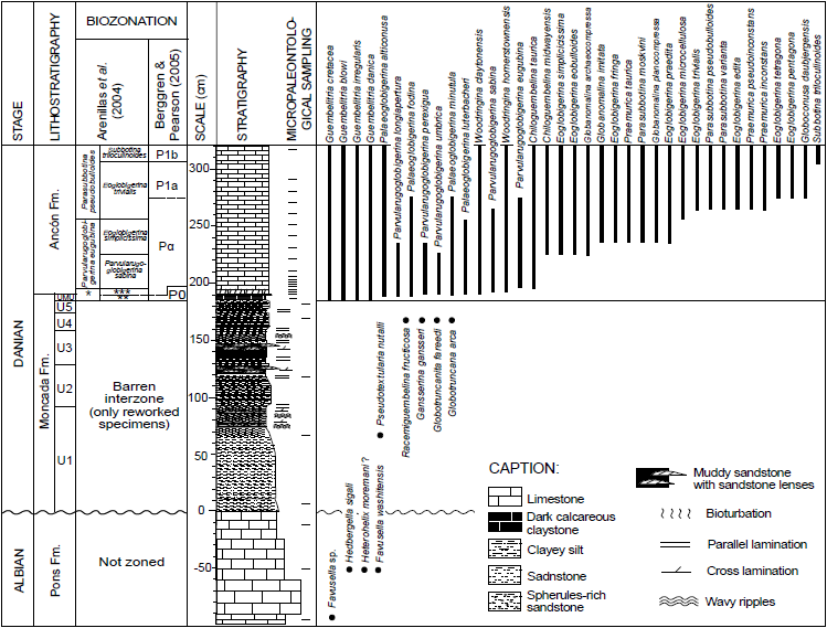Lithostratigraphic formations and units of Tada et al. (2002), planktonic foraminiferal zonations, micropaleontologial sampling, and stratigraphic distribution of planktonic foraminiferal species.